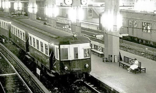 TRENES Y ANIMALES 2